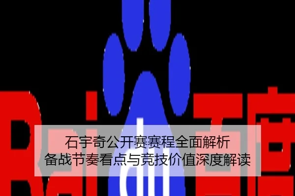 石宇奇公开赛赛程全面解析 备战节奏看点与竞技价值深度解读